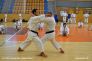 Seminář kata 31.5.2014