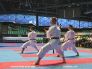 akademické MS karate 2008